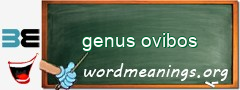 WordMeaning blackboard for genus ovibos